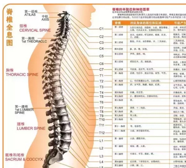 吴中脊骨矫正