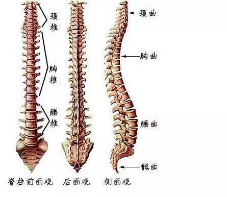 德正堂