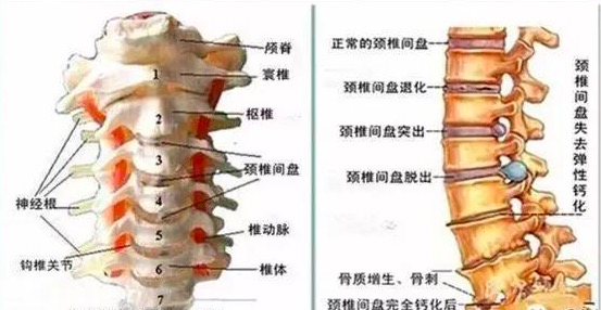 德正堂