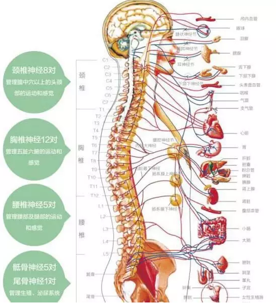 德正脊道研究院